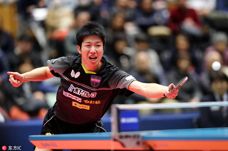 波兰乒乓球队鏖战德国乒乓球队，水谷隼关键制胜的简单介绍