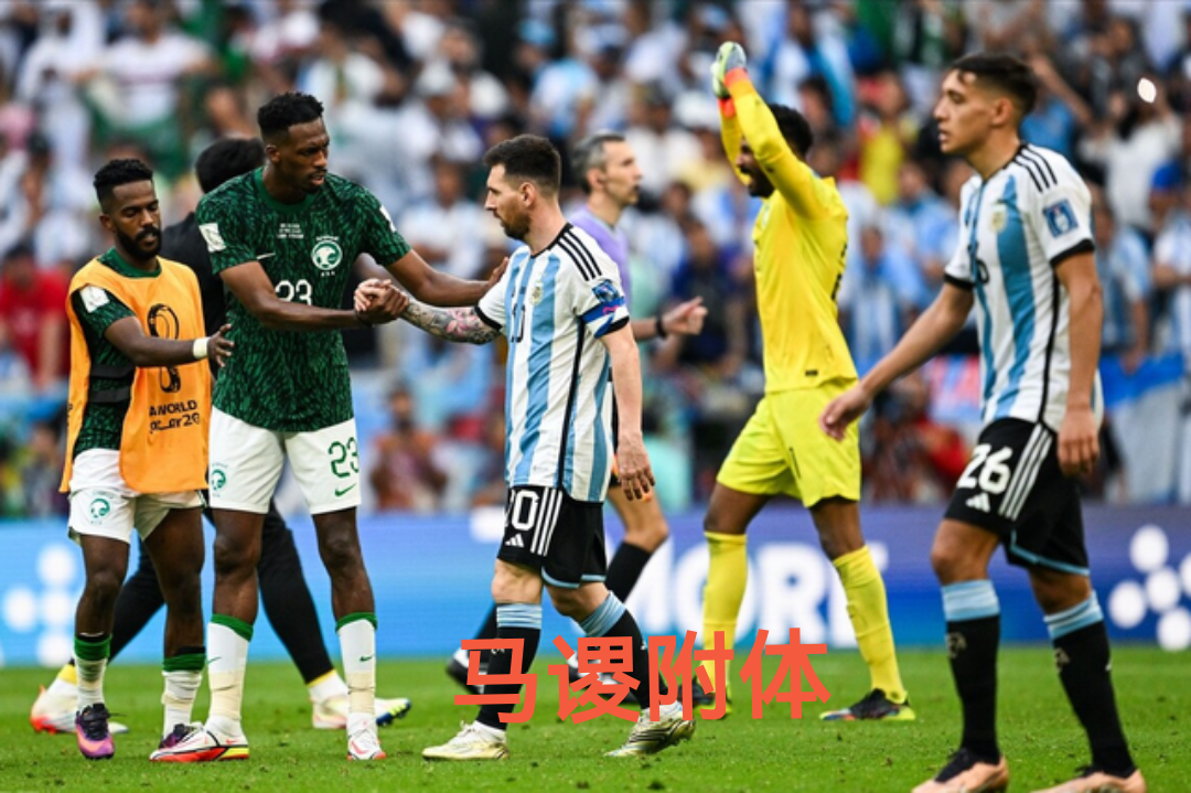 波兰乒乓球队鏖战德国乒乓球队，水谷隼关键制胜的简单介绍