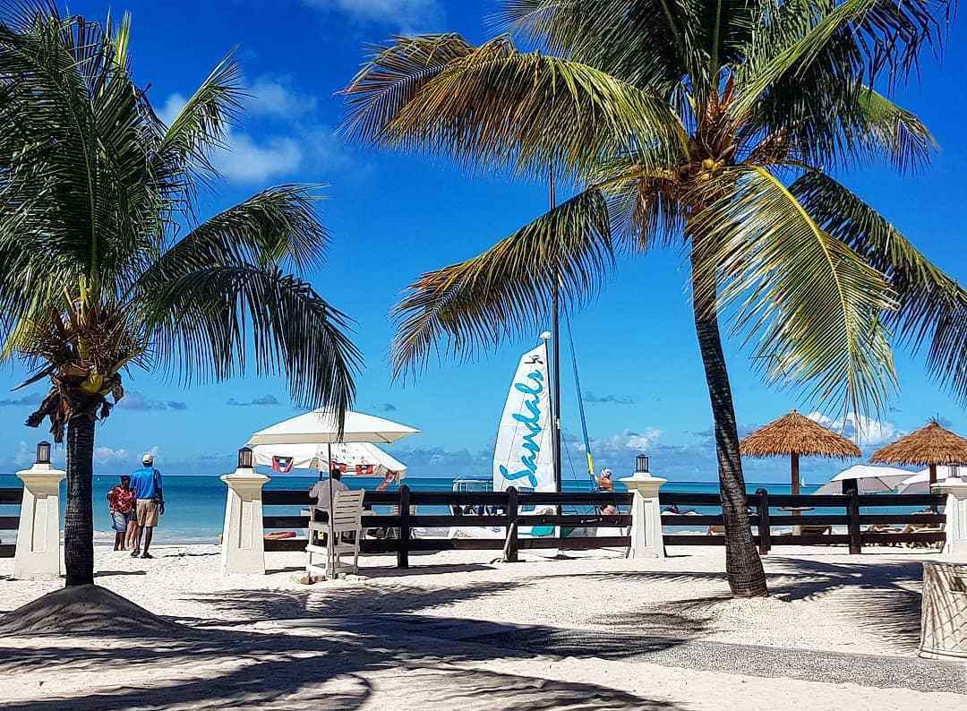 安提瓜与巴布达代表团在游泳比赛中夺冠，开心笑容的简单介绍