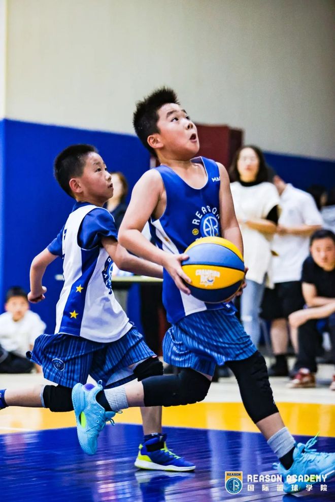 披荆斩棘：篮球追梦人勇敢前行的简单介绍