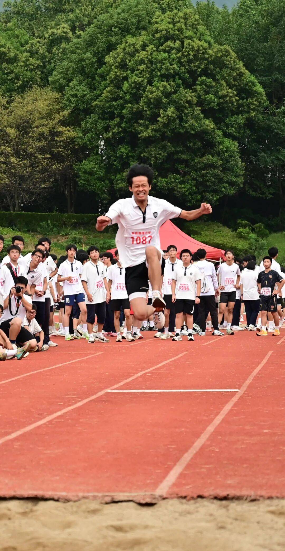 运动员奋力拼搏，收获满满成果的简单介绍