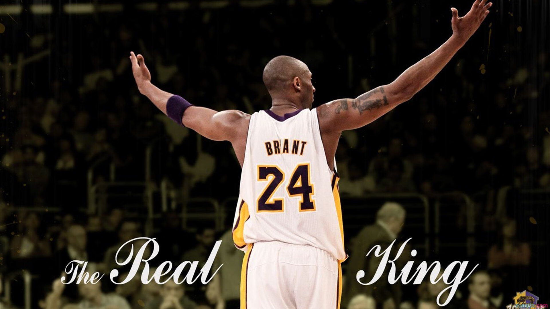 林高远关键制胜，波兰队横扫韩国队—团队赛中的唯一英雄时刻